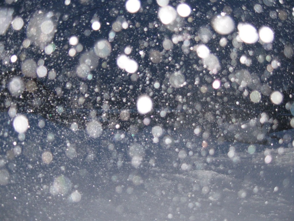 snowy-day-the-light-nc
