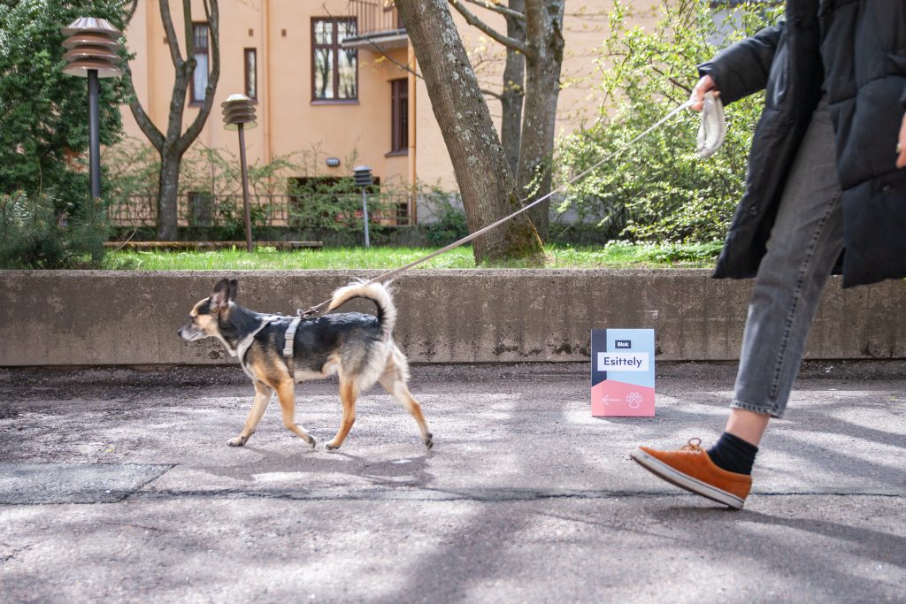 lemmikkiystavallinen-esittely2-FI